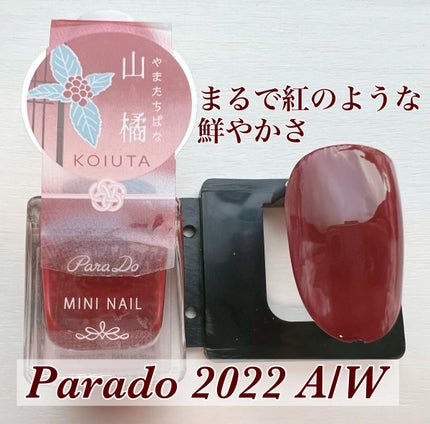 ミニネイル/パラドゥ/マニキュアを使ったクチコミ(1枚目)