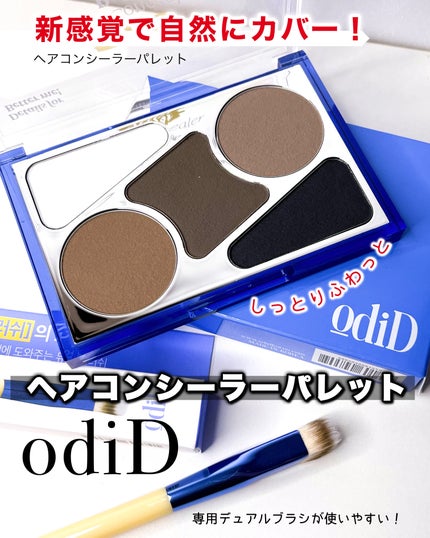 ヘアコンシーラーパレット&アーティスト デュアルブラシ/odiD/その他スタイリングを使ったクチコミ(1枚目)