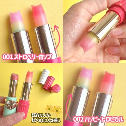 アイ & フェイスカラー CS/PAUL & JOE BEAUTE/アイシャドウパレットを使ったクチコミ(5枚目)