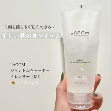 ラゴム ジェルトゥウォーター クレンザー(朝用洗顔)/LAGOM /洗顔フォームを使ったクチコミ（1枚目）