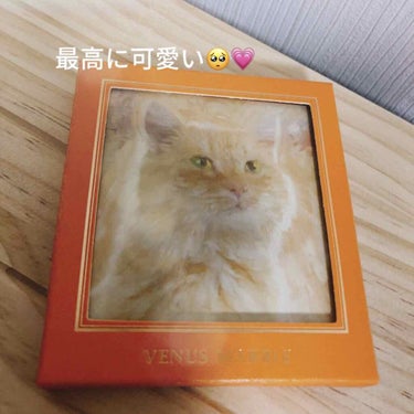 Venus Marble(ヴィーナスマーブル）
アイシャドウ猫シリーズ🐈
猫好きにはたまらないパケ🥺❤️

そして発色がよい！
2枚目の左下の白っぽいラメは
塗るとピンクっぽくなって可愛いし
ブラウンラ