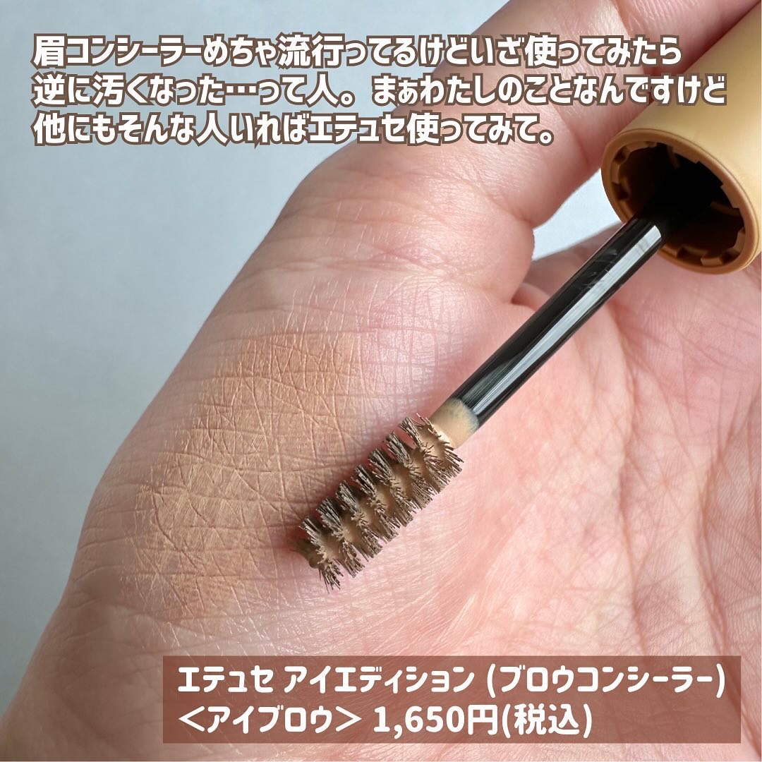 エテュセ アイエディション(ブロウコンシーラー) コンシーラーベージュ/ettusais/その他アイブロウを使ったクチコミ（2枚目）