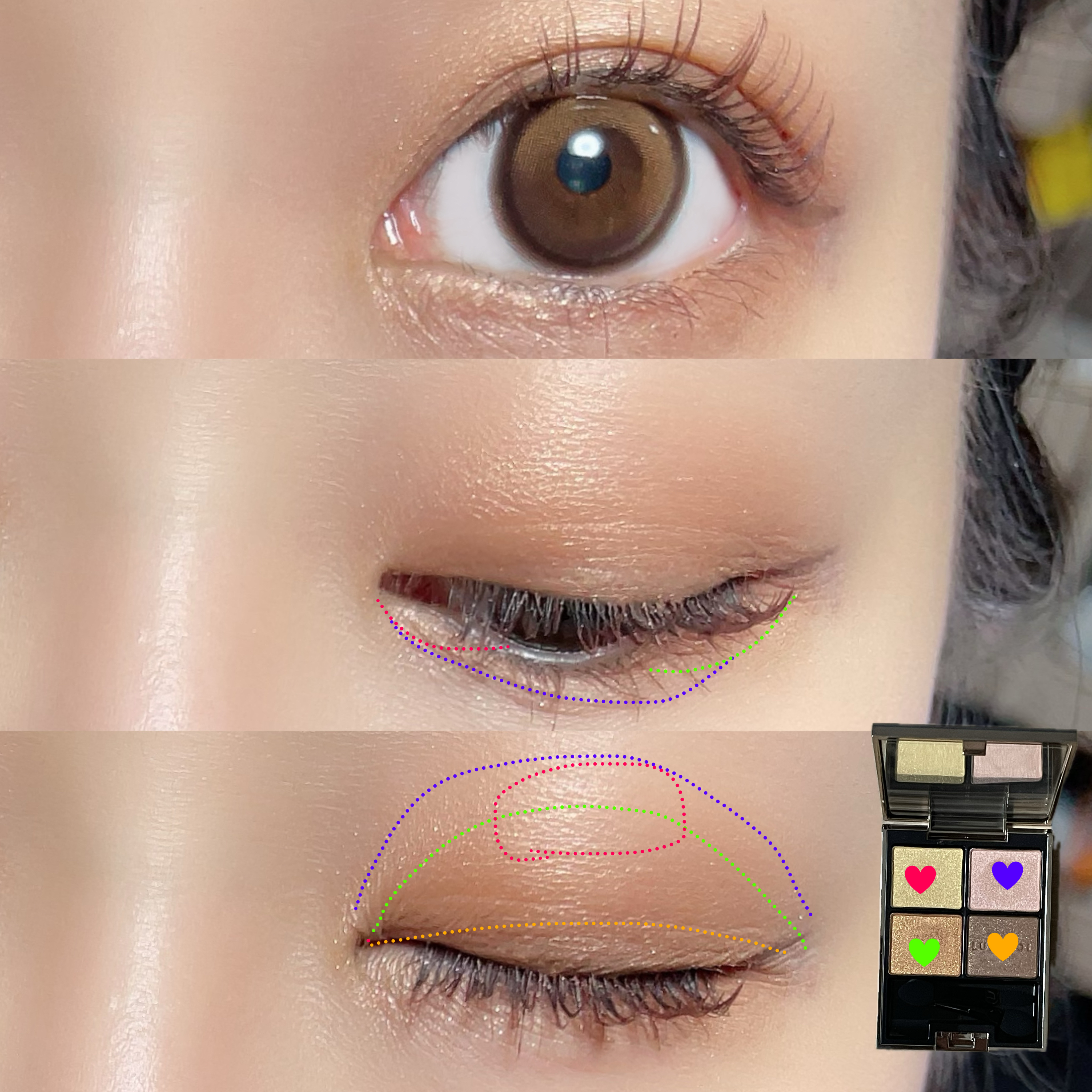 アイカラーレーション/LUNASOL/アイシャドウパレットを使ったクチコミ（2枚目）