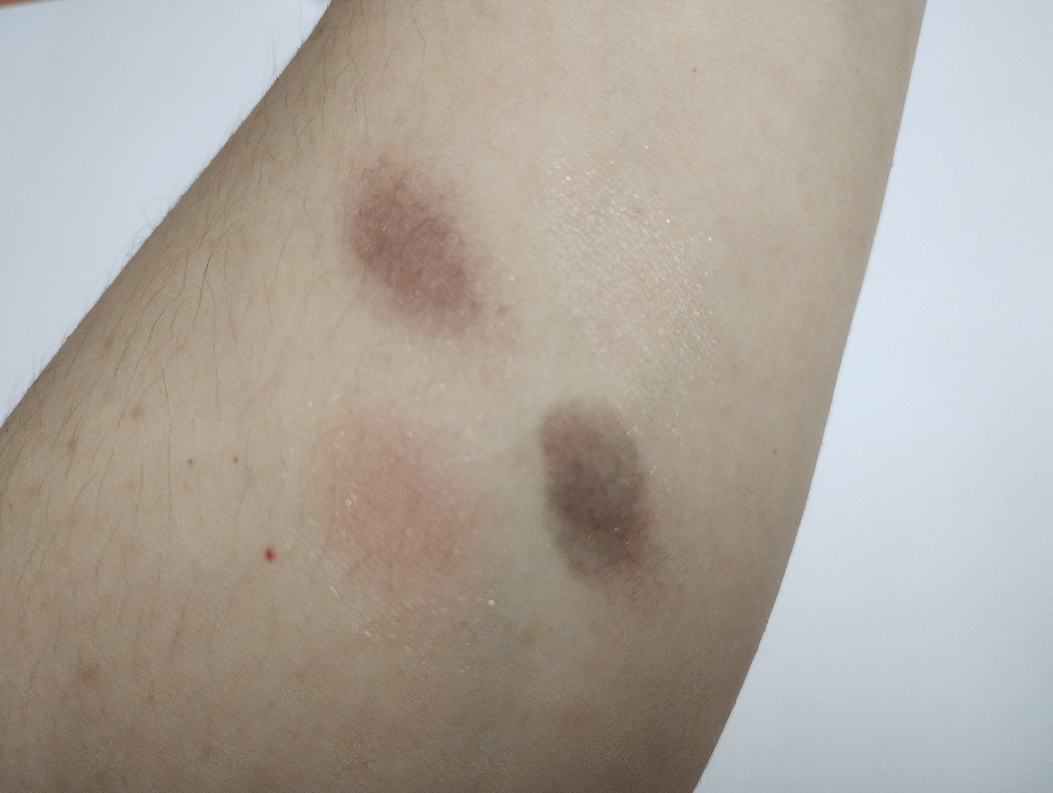 CHANEL ルミエール ファセットのクチコミ「実は、初めて購入したデパコスアイシャドウです。
イリュージョンドンブル見に行ったのに、うっかり.....」（2枚目）