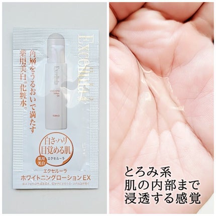 トライアルセットEX(C)/Excellula/トライアルキットを使ったクチコミ(2枚目)