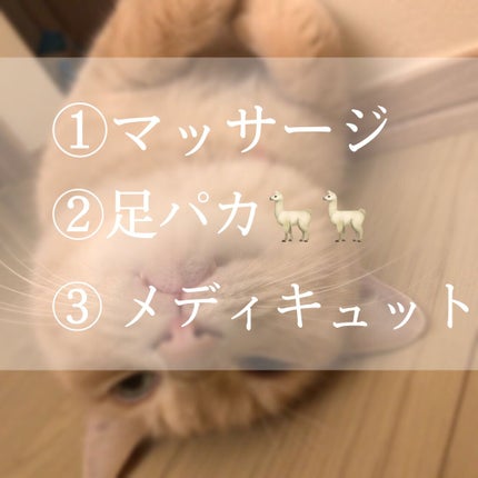 寝ながらメディキュット フルレッグ/メディキュット/着圧ソックス・レギンスを使ったクチコミ(3枚目)