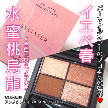 アンノウンアイズ/STEIASUR(ステイアシュール)/アイシャドウパレットを使ったクチコミ(1枚目)