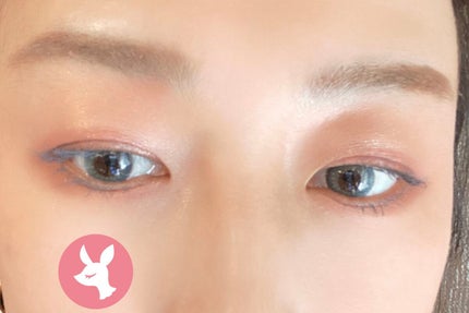 ザ カラー リキッド アイライナー/ADDICTION/リキッドアイライナーを使ったクチコミ(2枚目)