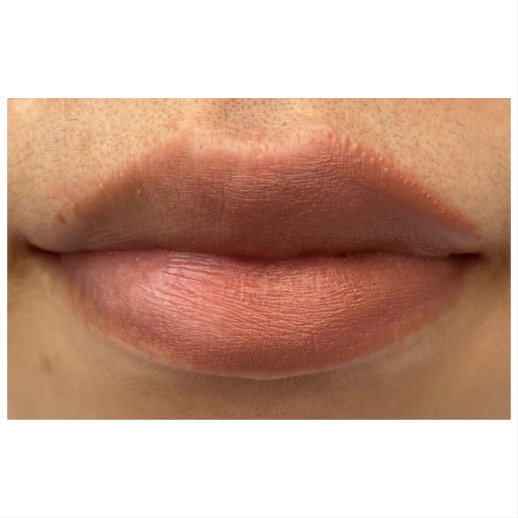 スティレット デミ マット リップスティック/ZARA/口紅を使ったクチコミ(2枚目)