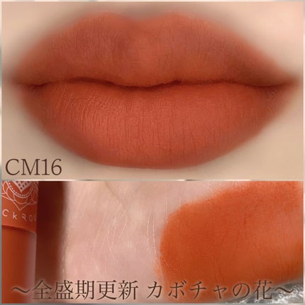 クリームマットルージュ シーズン3/BLACK ROUGE/口紅を使ったクチコミ(4枚目)