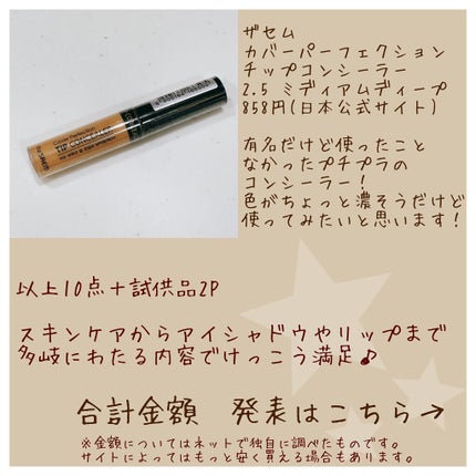 カバーパーフェクション チップコンシーラー/the SAEM/リキッドコンシーラーを使ったクチコミ(8枚目)