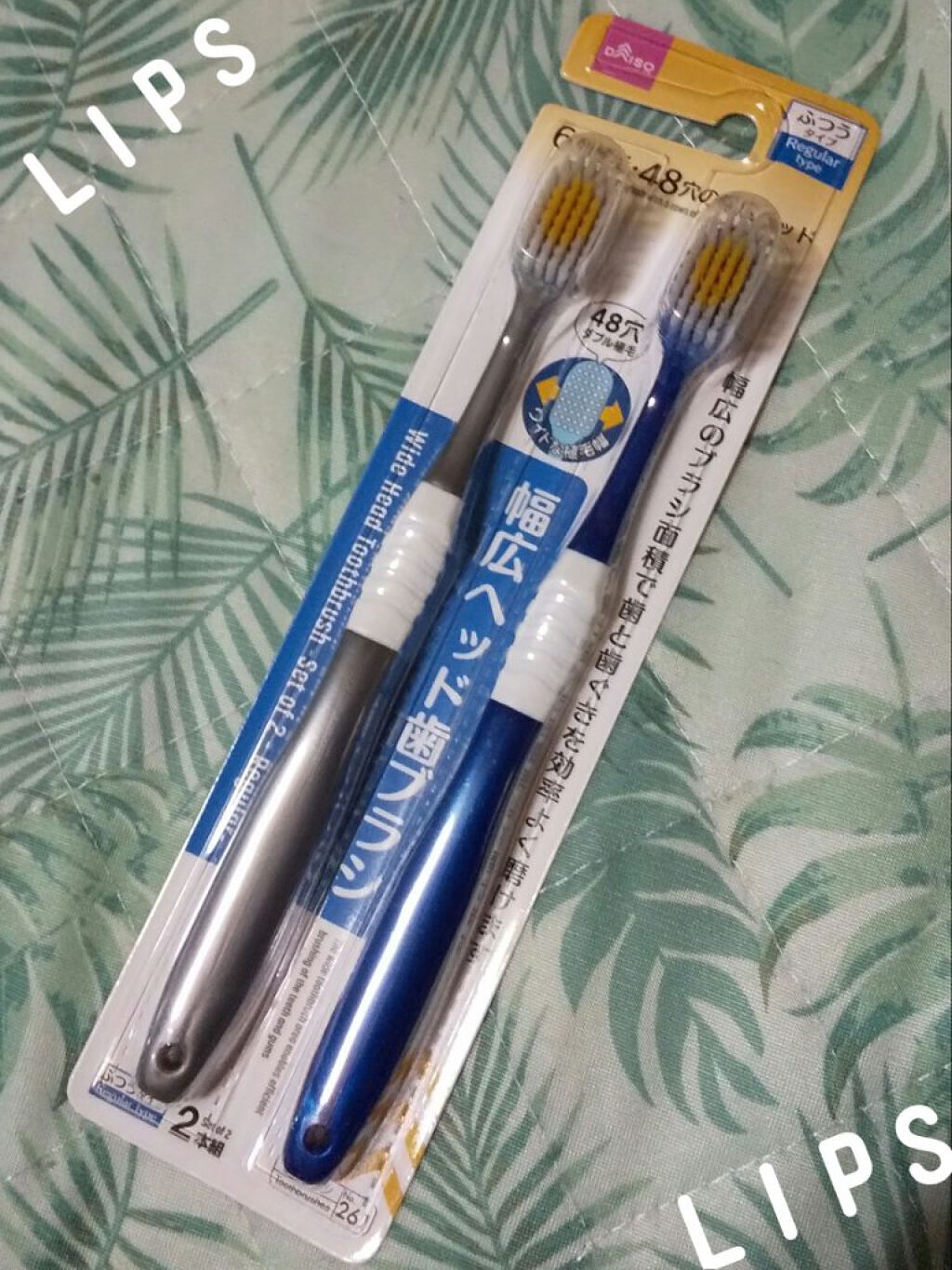 幅広ヘッド歯ブラシ / DAISO