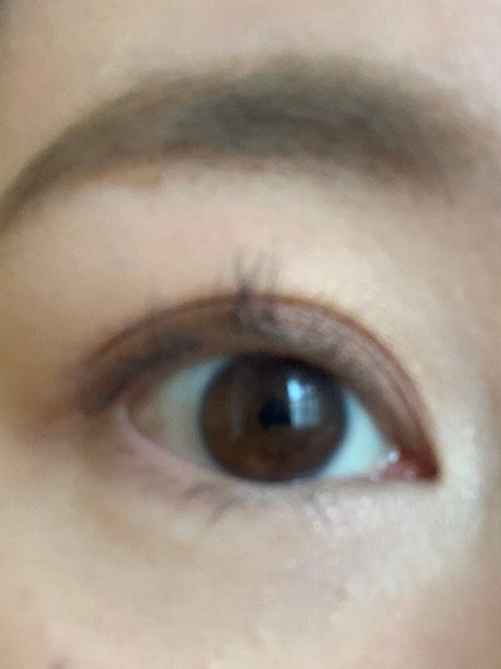 スキニーリッチシャドウ/excel/アイシャドウパレットを使ったクチコミ(3枚目)