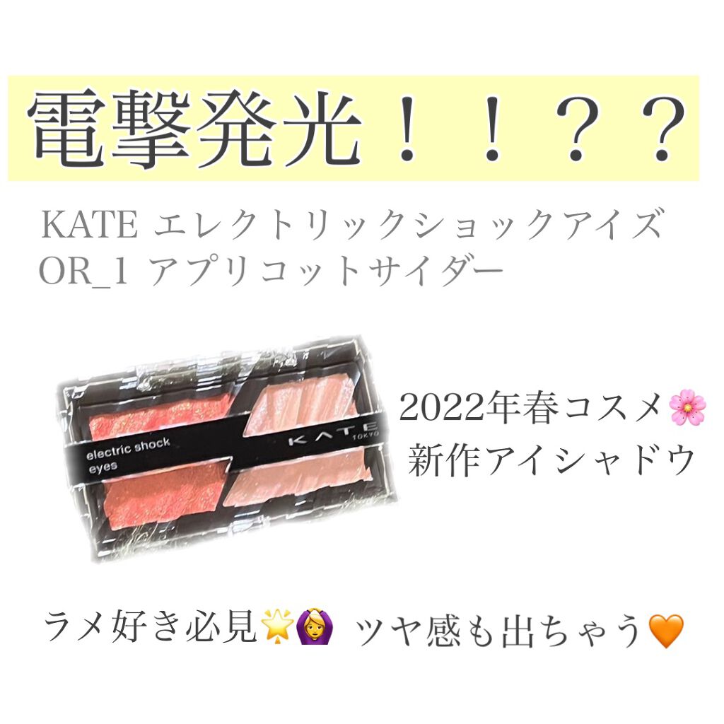 エレクトリックショックアイズ /KATE/アイシャドウパレットを使ったクチコミ（1枚目）