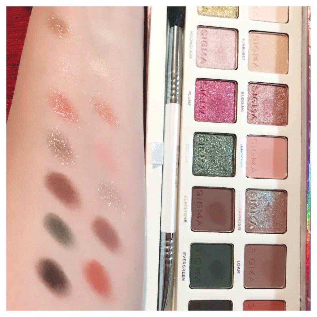 ENCHANTED/Sigma Makeup(海外)/アイシャドウパレットを使ったクチコミ（3枚目）