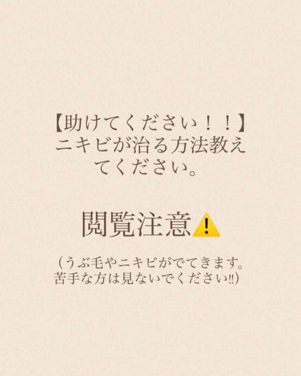 薬用パウダー化粧水/メンソレータム アクネス/化粧水を使ったクチコミ(1枚目)