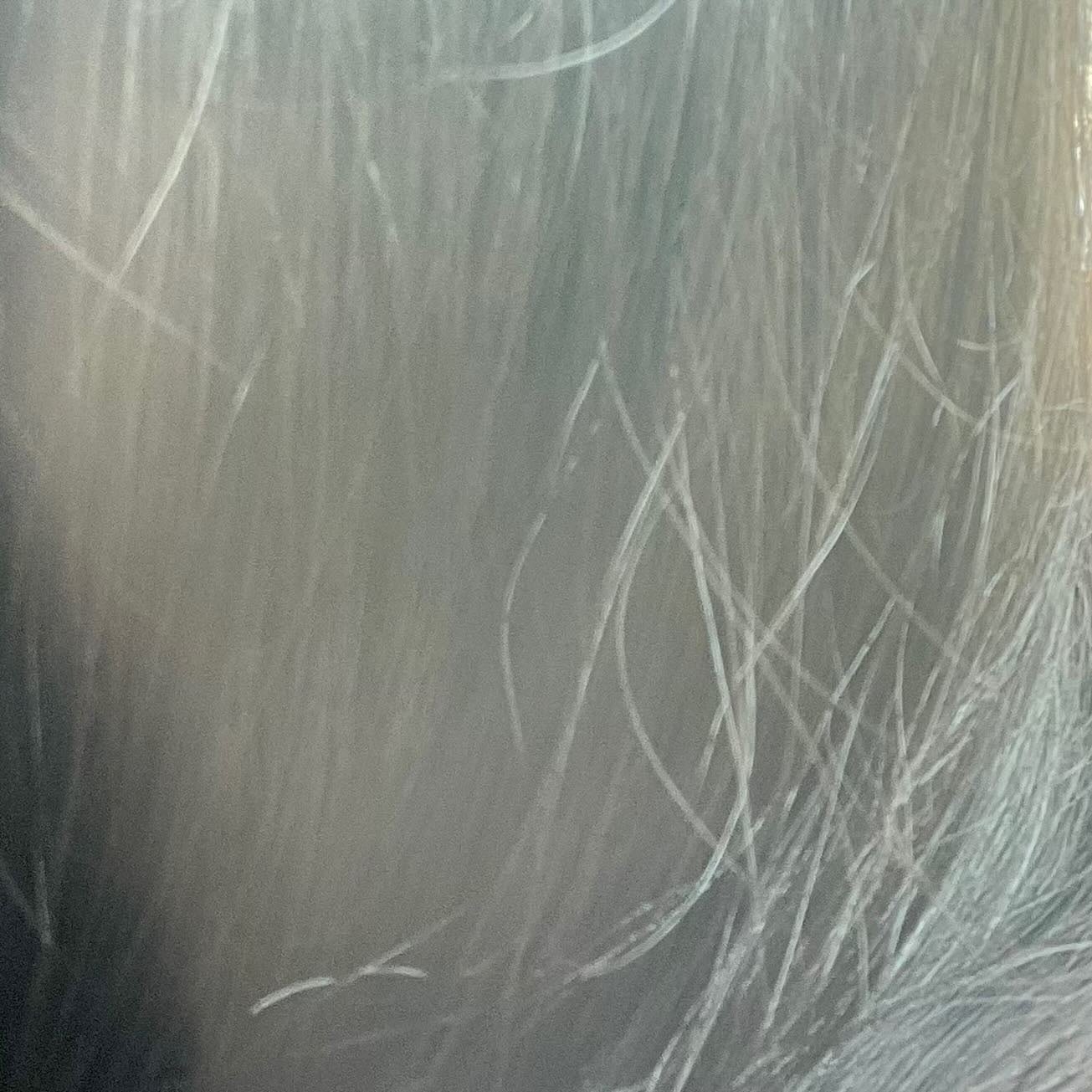 スノーホワイト/PINKGHOST/ヘアオイルを使ったクチコミ(6枚目)