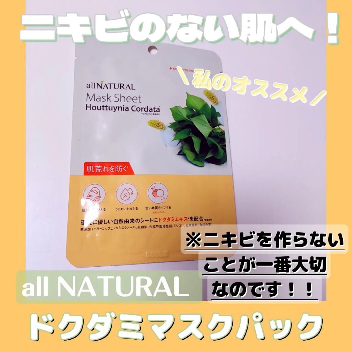 オールナチュラル マスクパックDK/allNATURAL/シートマスク・パックを使ったクチコミ（2枚目）