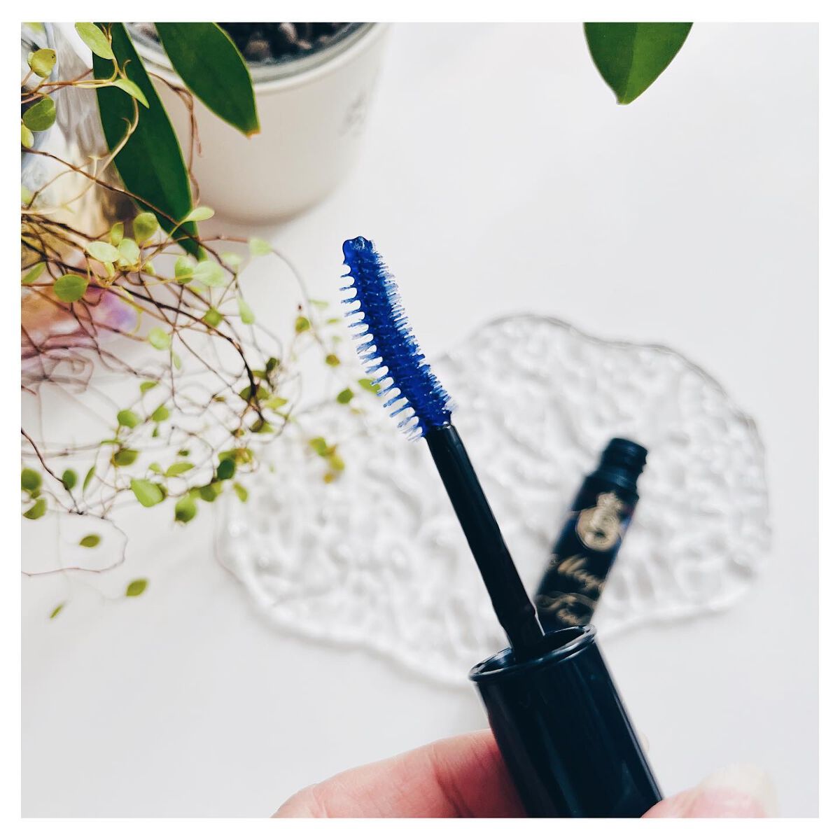 ラッシュティント/MAJOLICA MAJORCA/マスカラを使ったクチコミ(5枚目)