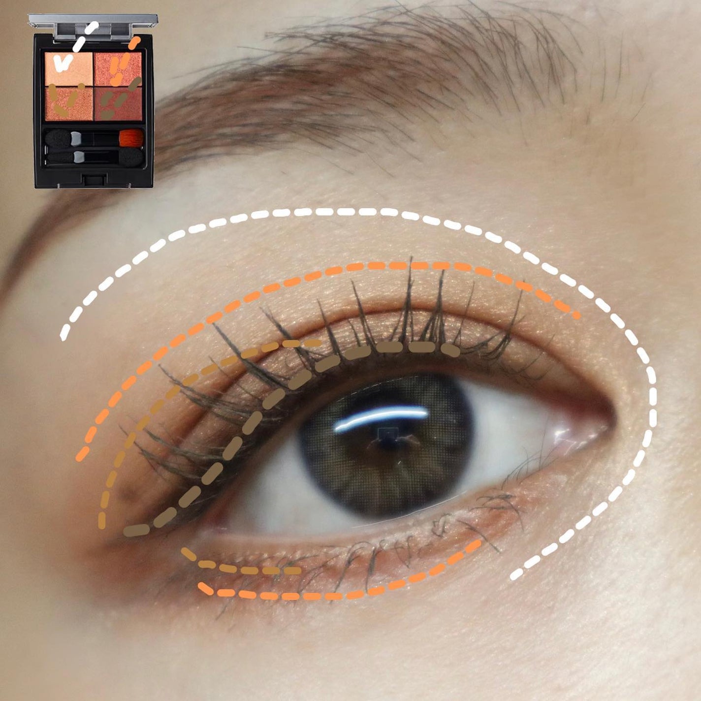 パレットアイシャドウ/&be/アイシャドウパレットを使ったクチコミ(3枚目)