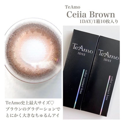 TeAmo 1DAY/TeAmo/ワンデー(1DAY)カラコンを使ったクチコミ(4枚目)