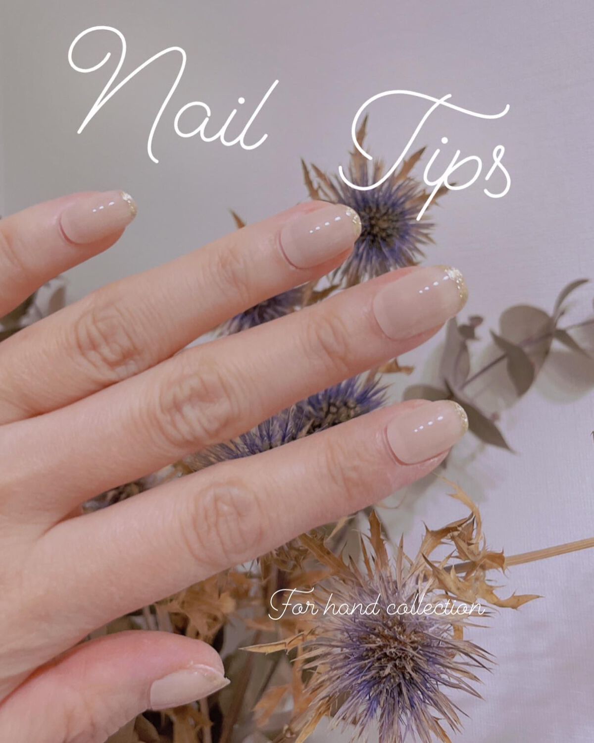 ðð on LIPS ãDAISOãnailtipsããã€ãœãŒã§ãã€ã«ãããèŠã€ããã®..ãïŒ1æç®ïŒ