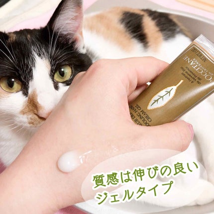 ヴァーベナ アイスハンドクリーム/L'OCCITANE/ハンドクリームを使ったクチコミ(2枚目)