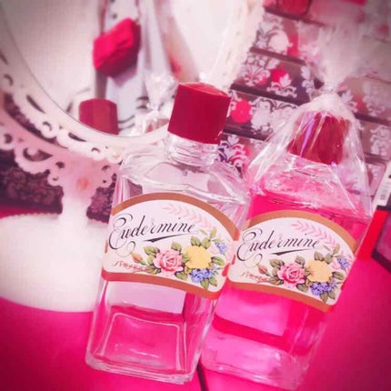 オイデルミン(N)/SHISEIDO/化粧水を使ったクチコミ(1枚目)