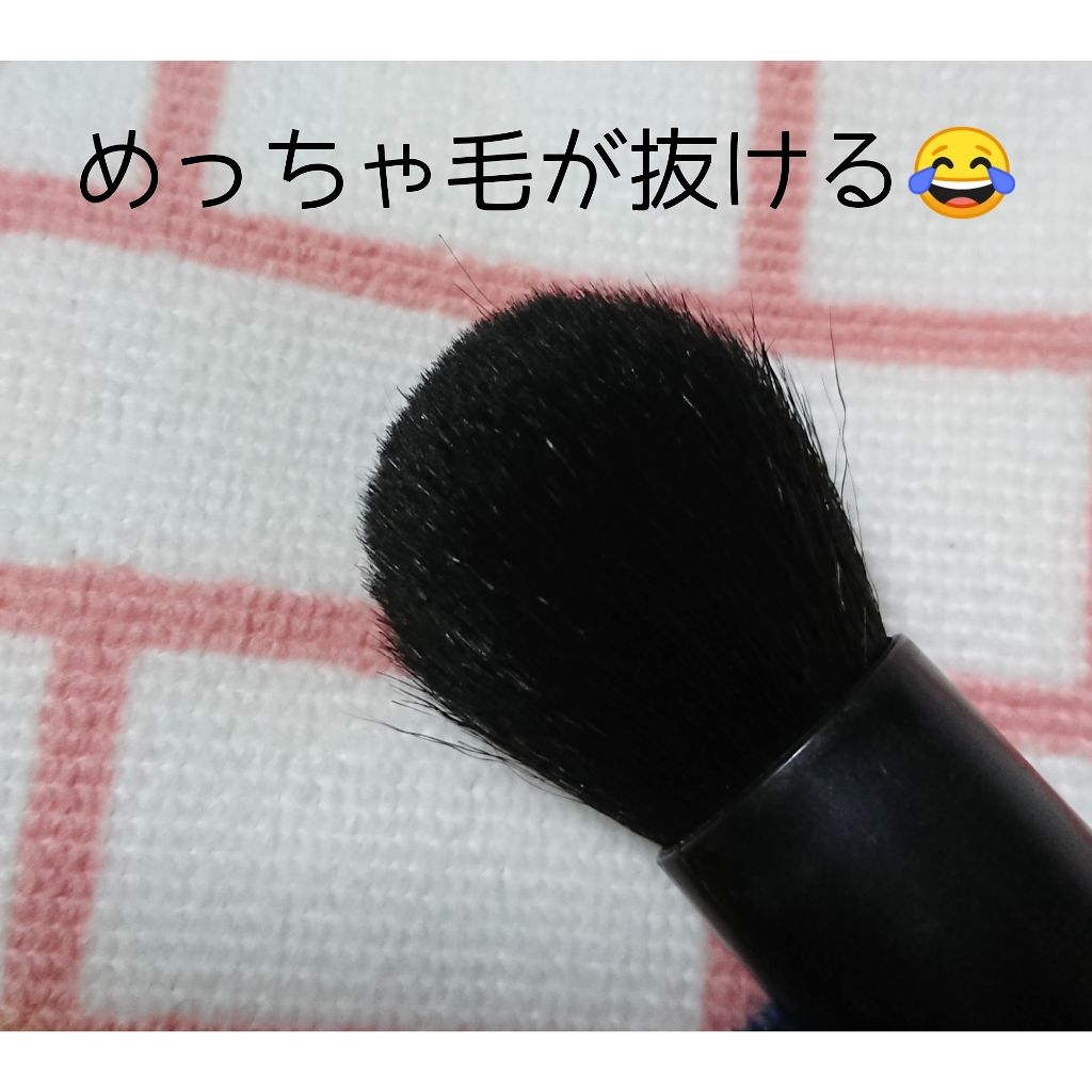 ラージパウダーブラシ/パルガントン/メイクブラシを使ったクチコミ（3枚目）