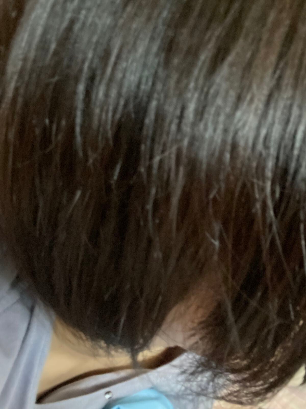 モーニングリセットウォーター シトラスハーブの香り/プロスタイル/プレスタイリング・寝ぐせ直しを使ったクチコミ(2枚目)