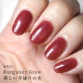WF47 バーガンディーグロウ(Burgundy Grow)