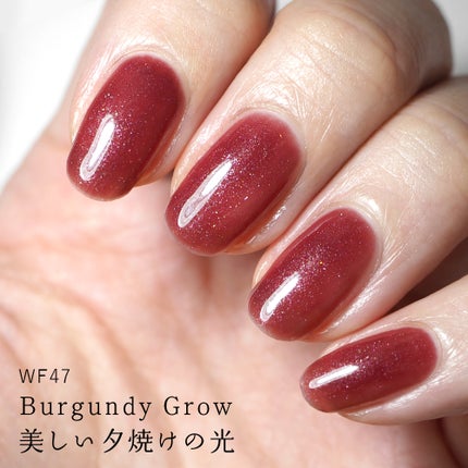 WF47 バーガンディーグロウ(Burgundy Grow)