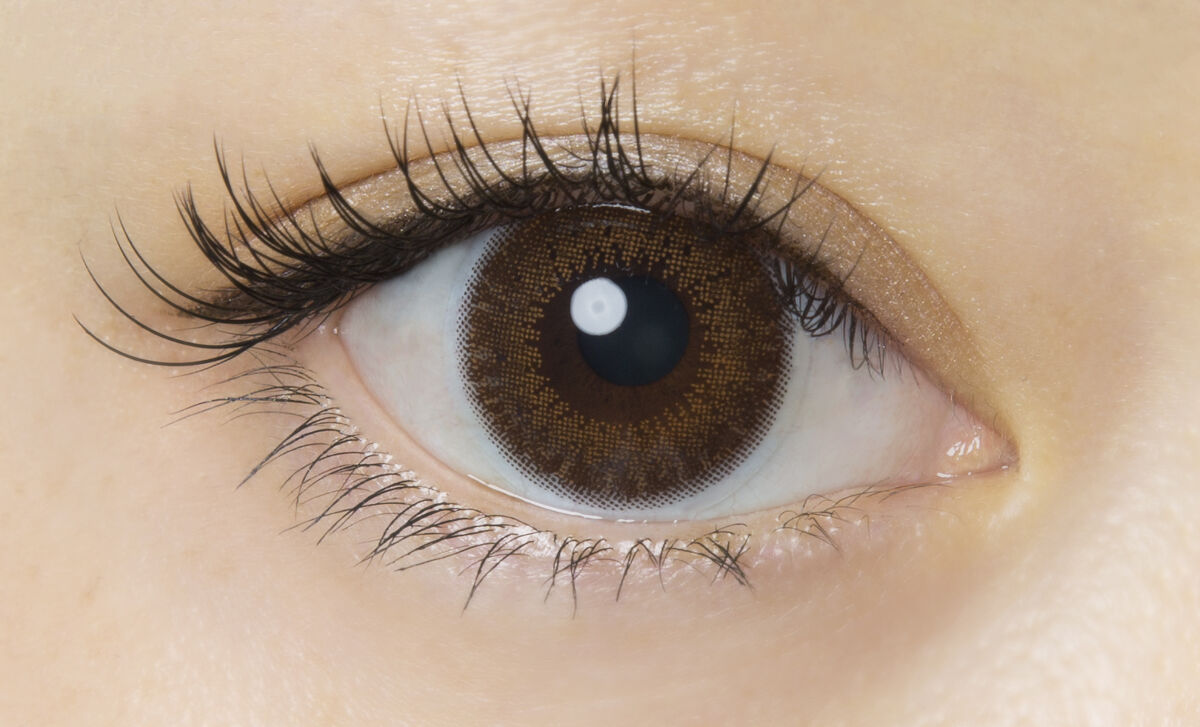 FLANMY 1day チョコタルト