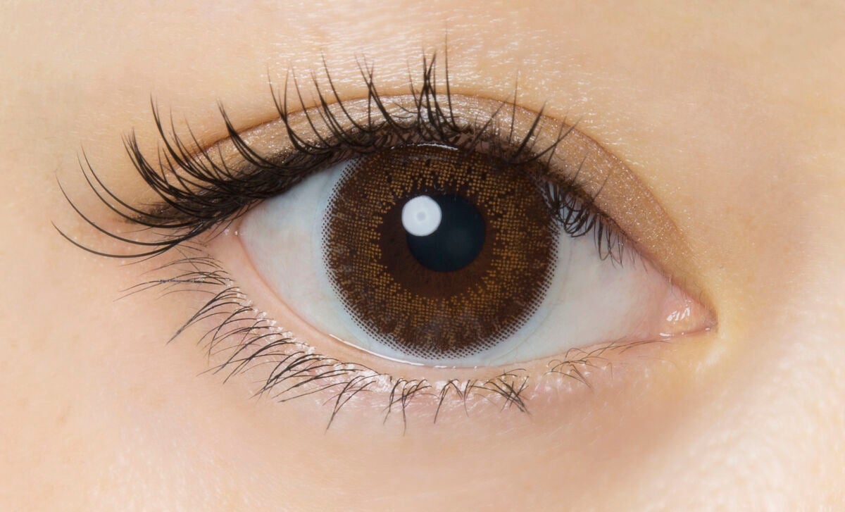 FLANMY 1day チョコタルト