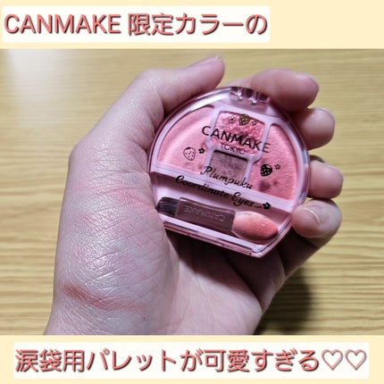 プランぷくコーデアイズ/キャンメイク/パウダーアイシャドウを使ったクチコミ(1枚目)