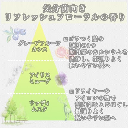 くせ・うねりメンテナンスシャンプー/トリートメント(ボリュームダウン)/エッセンシャル/シャンプー・コンディショナーを使ったクチコミ(2枚目)