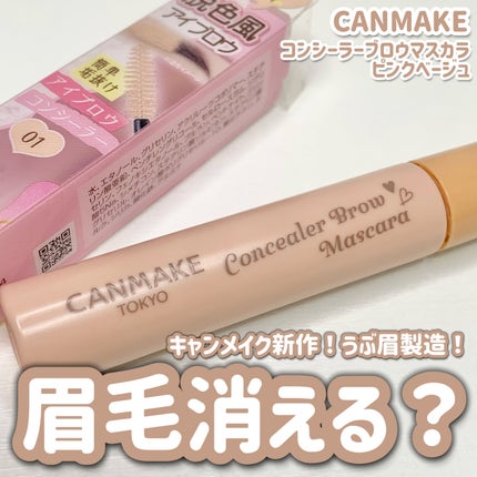 コンシーラーブロウマスカラ/キャンメイク/その他アイブロウを使ったクチコミ(1枚目)