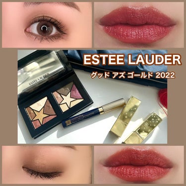 ピュア カラー エンヴィ リップスティック 333 パースウェイシブ/ESTEE LAUDER/口紅を使ったクチコミ（1枚目）