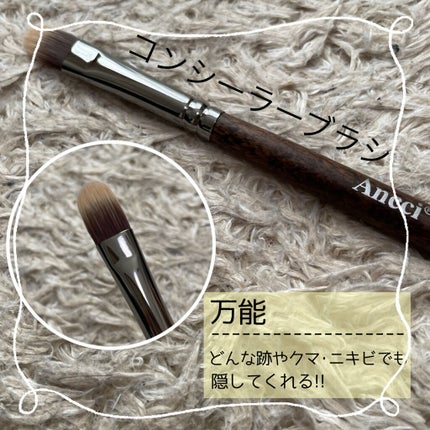 ebony 20/Ancci brush/メイクブラシを使ったクチコミ(5枚目)