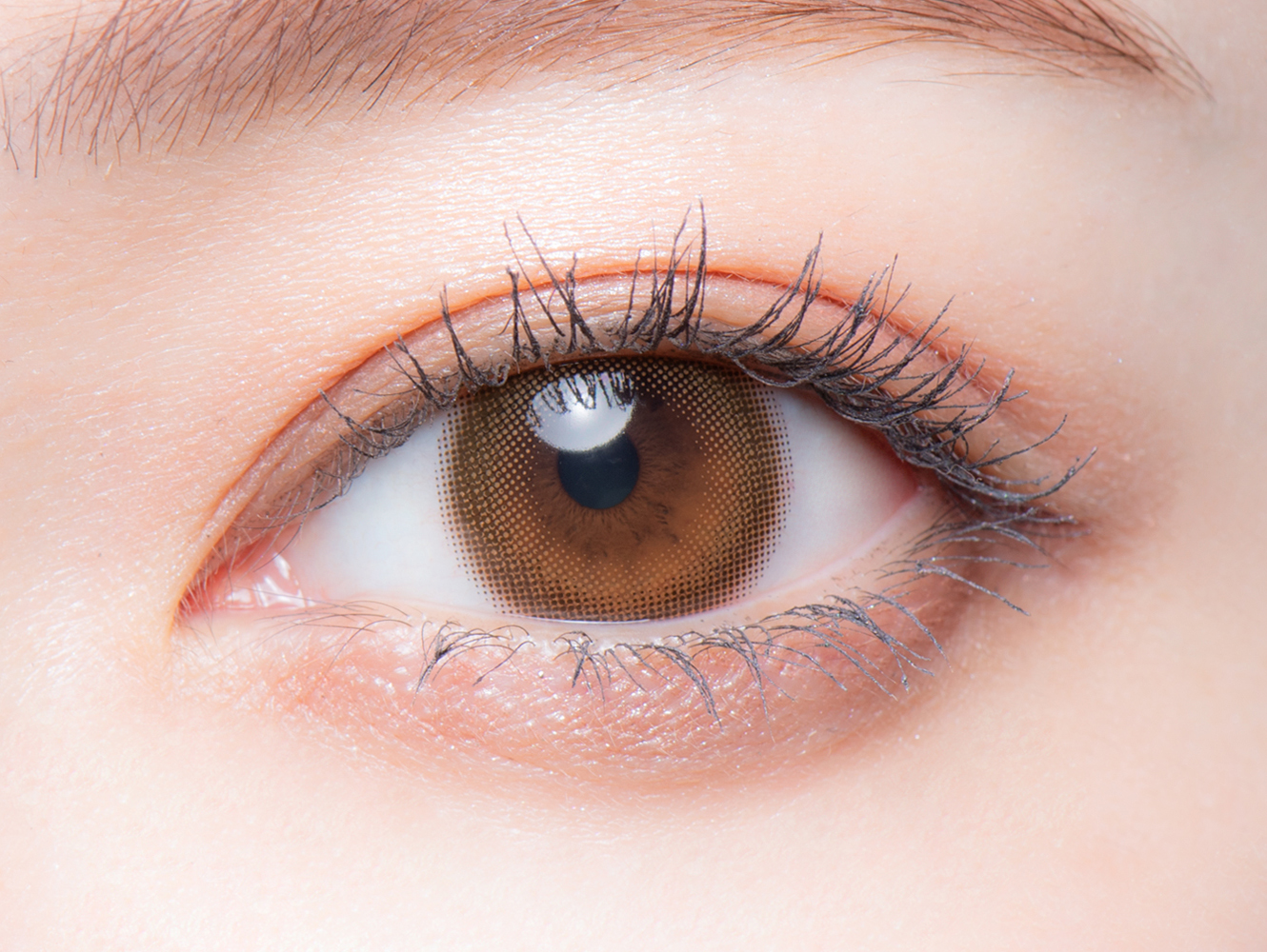 melotte 1day ミルクパフ