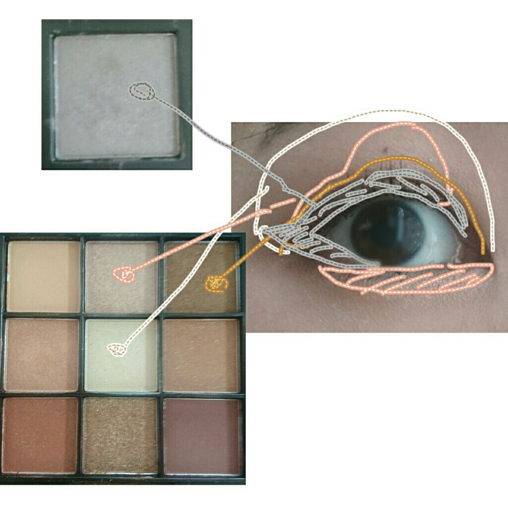 ポイントカラーズ/ワトゥサ/パウダーチークを使ったクチコミ(3枚目)