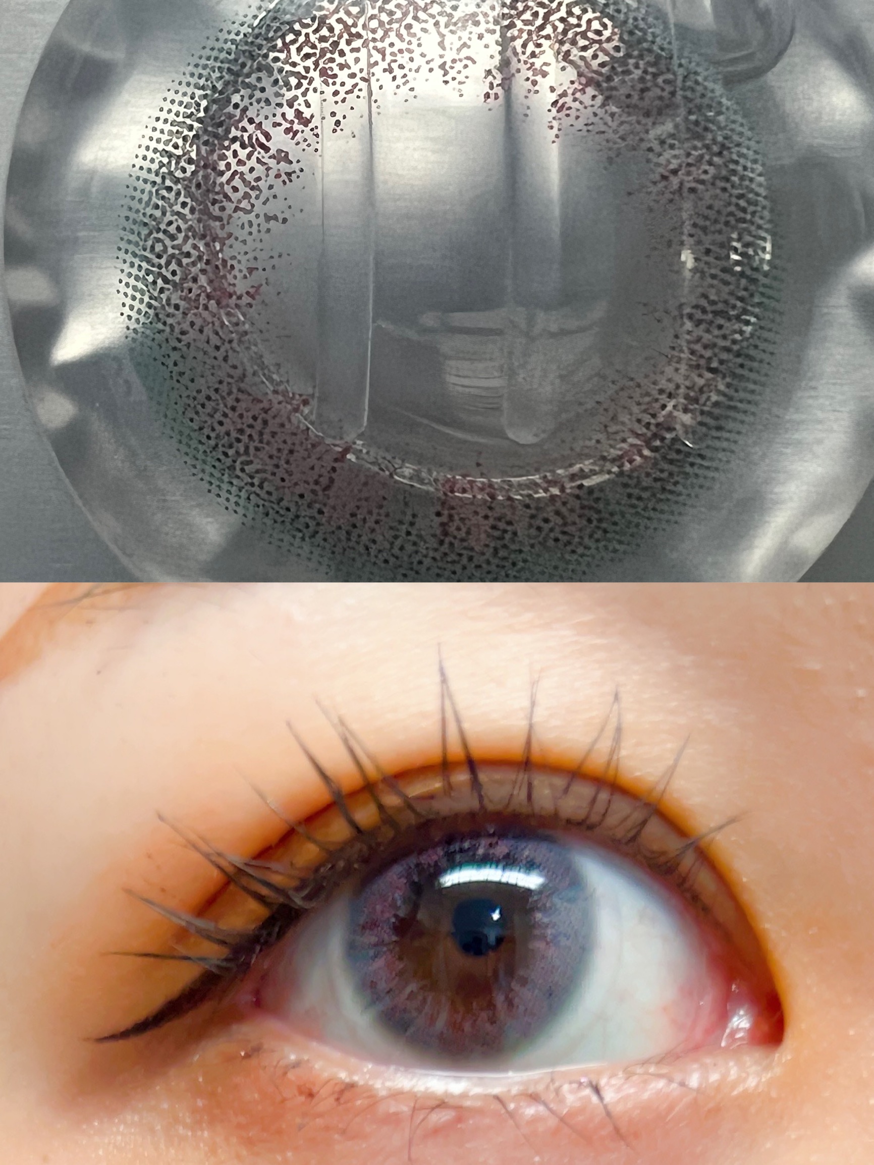 VNTUS 1day/VNTUS/ワンデー（１DAY）カラコンを使ったクチコミ（3枚目）