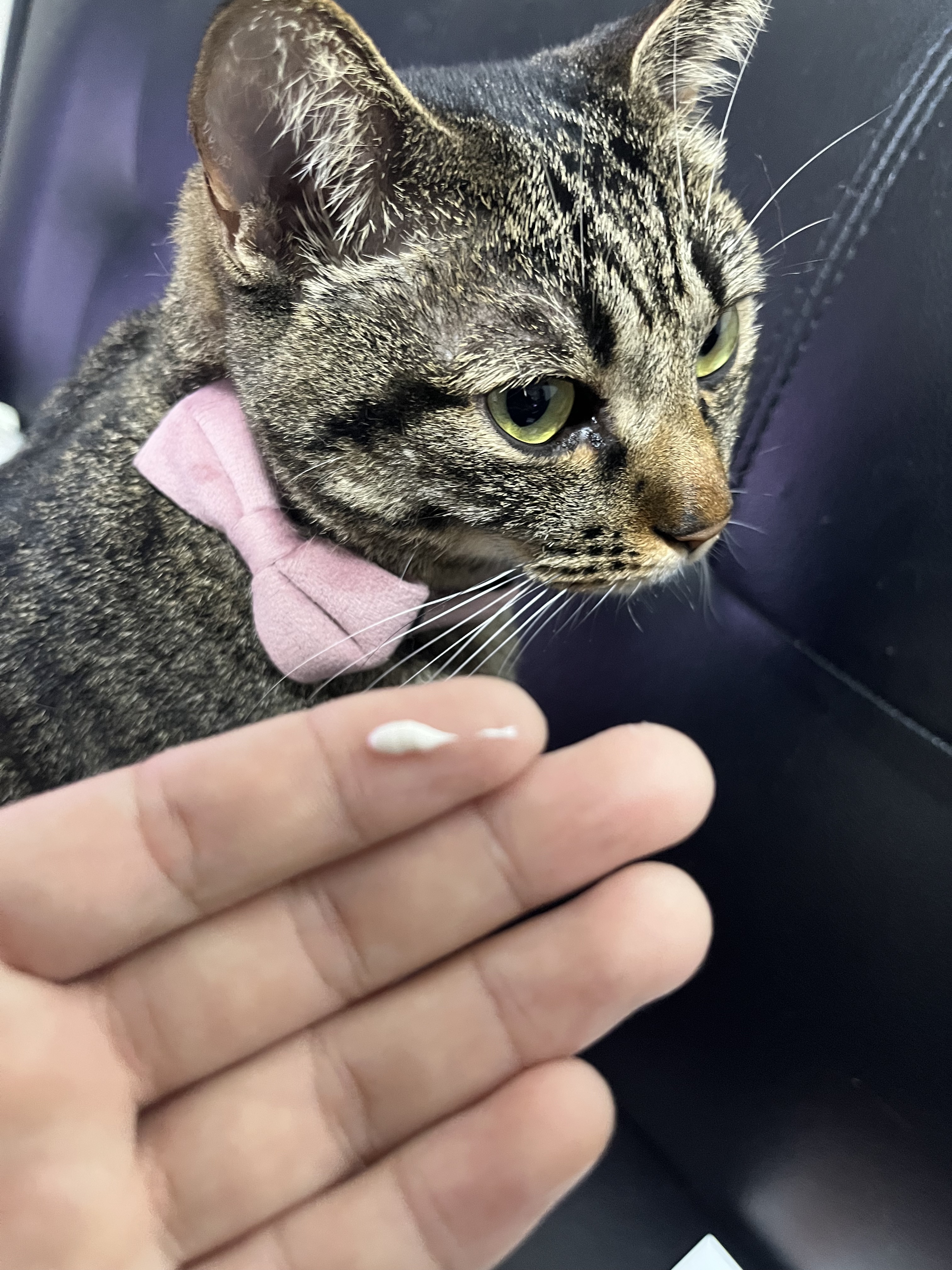 ごめんね素肌 クマらないアイクリーム/クリアターン/アイケア・アイクリームを使ったクチコミ（2枚目）