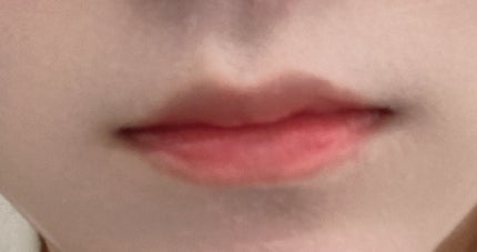 むちぷるティント/キャンメイク/リップティントを使ったクチコミ(2枚目)