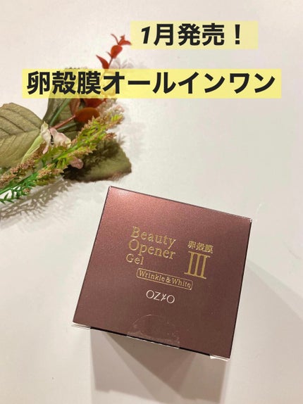 ビューティーオープナージェル リンクル&ホワイト/オージオ/美容液を使ったクチコミ(1枚目)