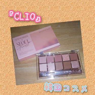 プロ アイ パレット/CLIO/アイシャドウパレットを使ったクチコミ（1枚目）