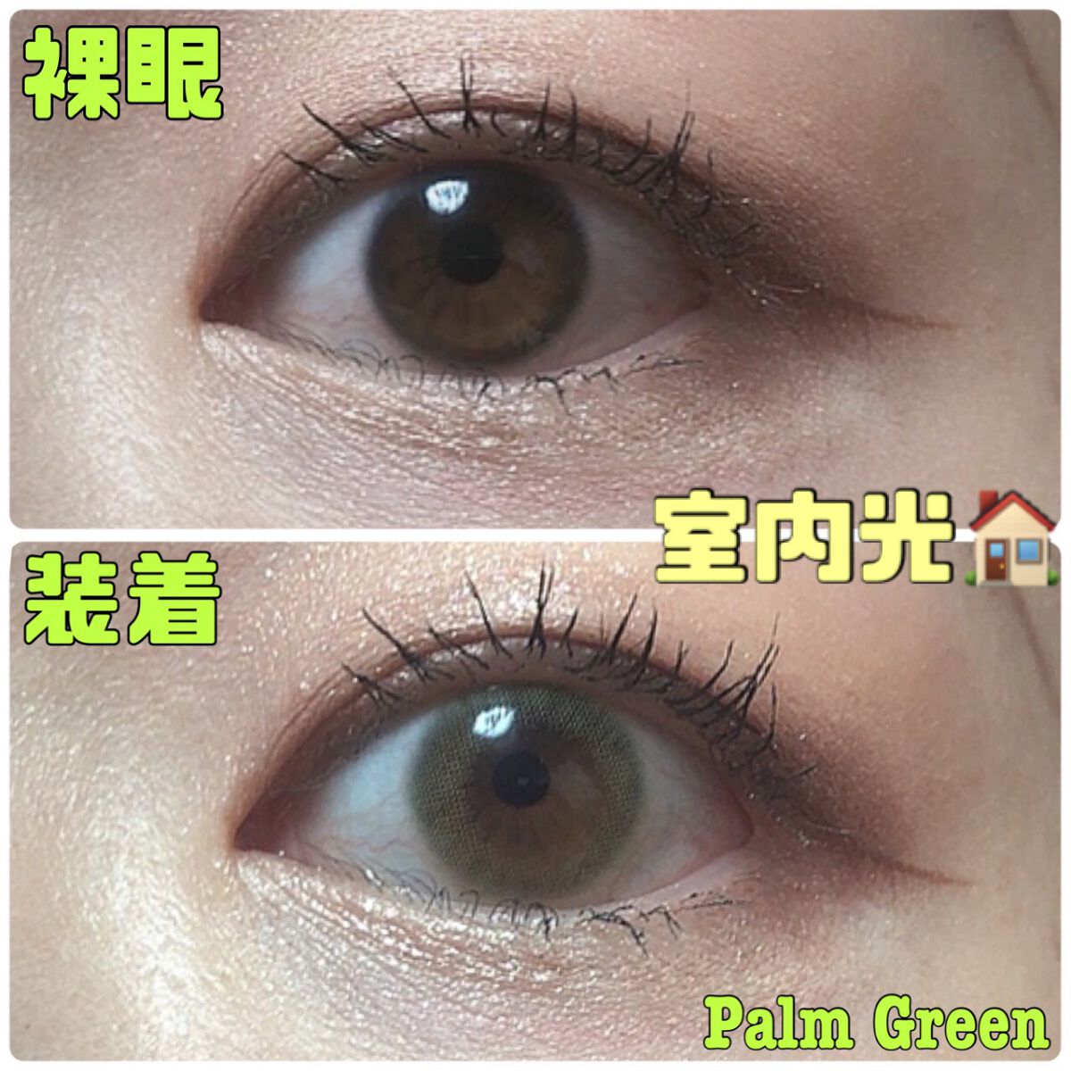 perse 1day/perse/ワンデー(1DAY)カラコンを使ったクチコミ(3枚目)