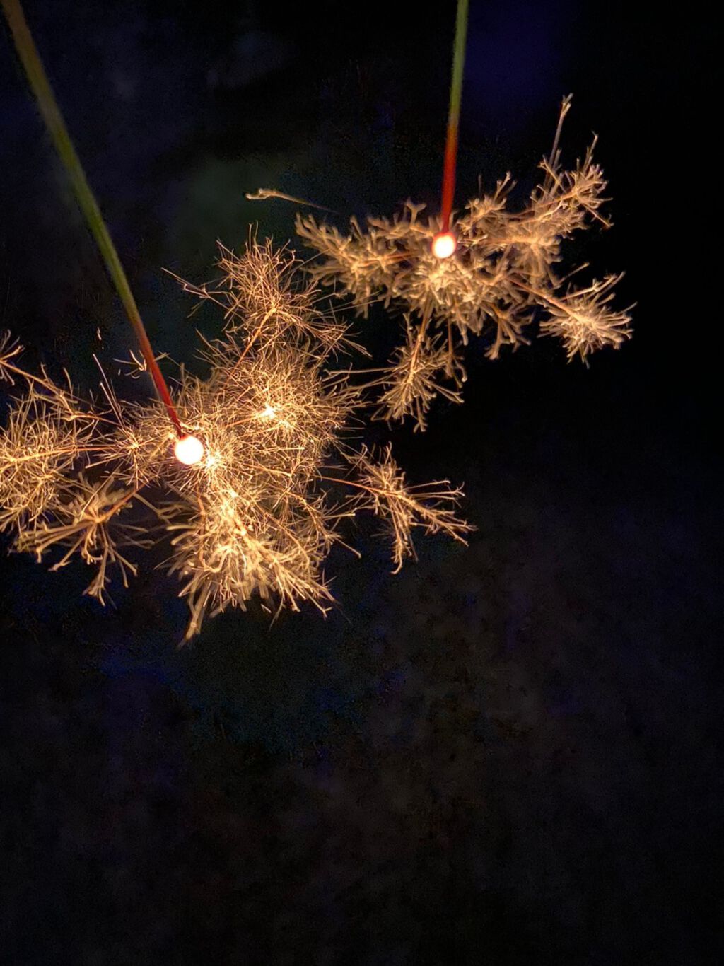 ♡cherry♡ on LIPS 「お久しぶりです♪最近暑いので感染症予防をしっかりしながら体を壊..」(1枚目)