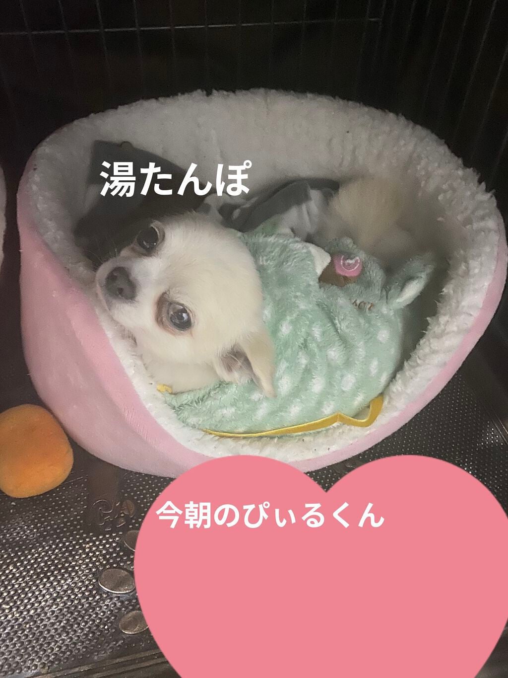 ピュアショット Yセラム/YVES SAINT LAURENT BEAUTE/美容液を使ったクチコミ(10枚目)