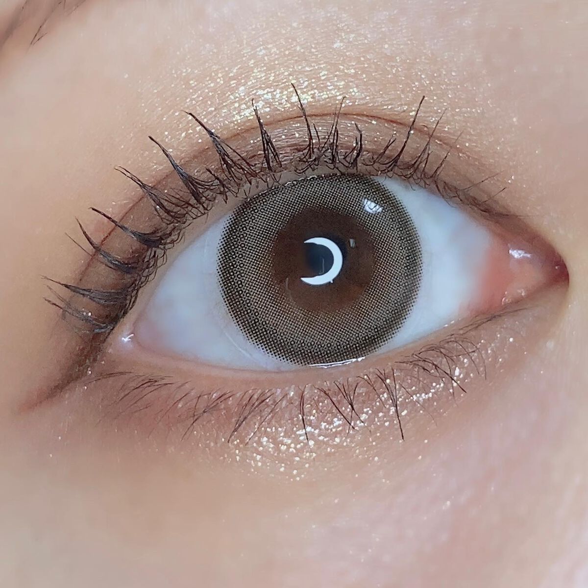 Moodnight 1day/OLENS/カラーコンタクトレンズを使ったクチコミ(3枚目)